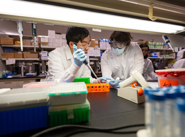 Clinical & Laboratory Immunology Internal Medicine Physicians