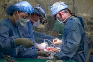 Transplant Hepatology Physician