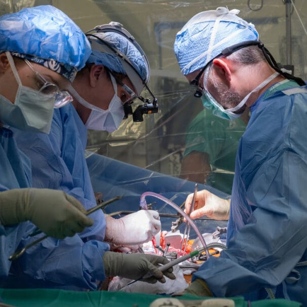 Transplant Hepatology Physician