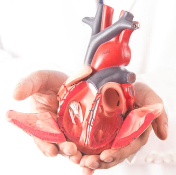 Cardio_Thoracic_Surgery