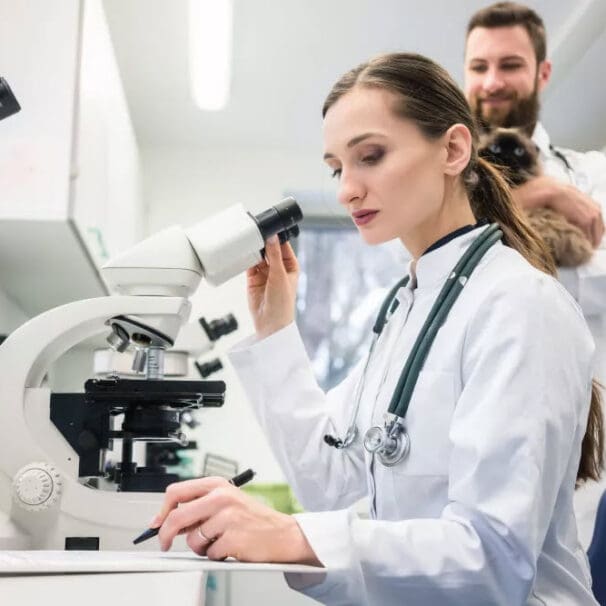 Medical Research Veterinarians