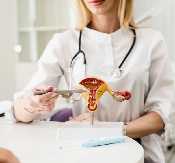 Reproductive Endocrinologists