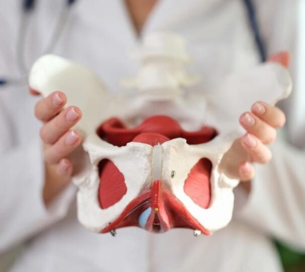 Urogynecology and Reconstructive Pelvic Surgeons