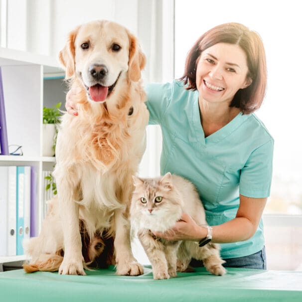 Veterinarians