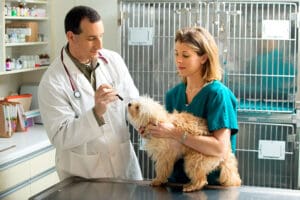 Veterinary Technicians