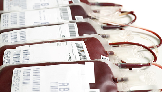 Blood Transfusion bags